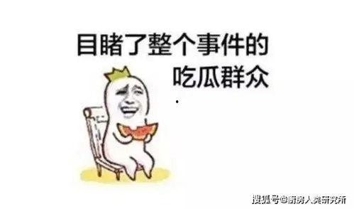 娱乐吃瓜酱努力生活,在追逐娱乐热点中努力生活的点滴