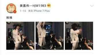 娱乐圈吃瓜小三是谁呀